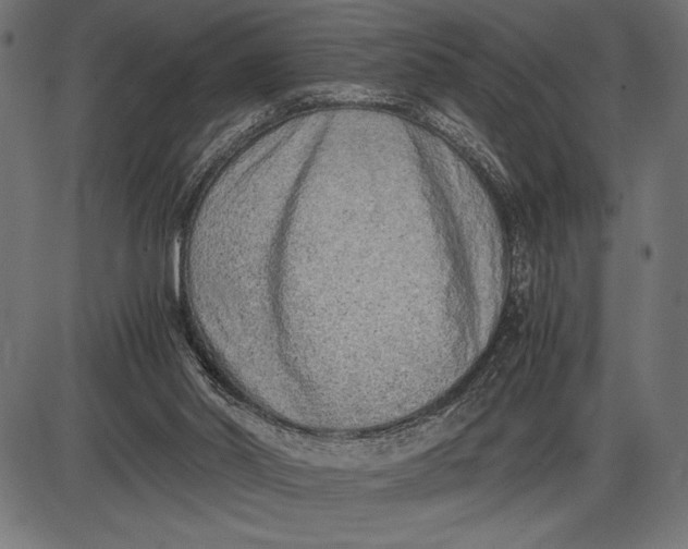 X0000086110014200704091430