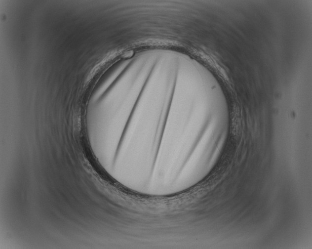 X0000086110015200704091430