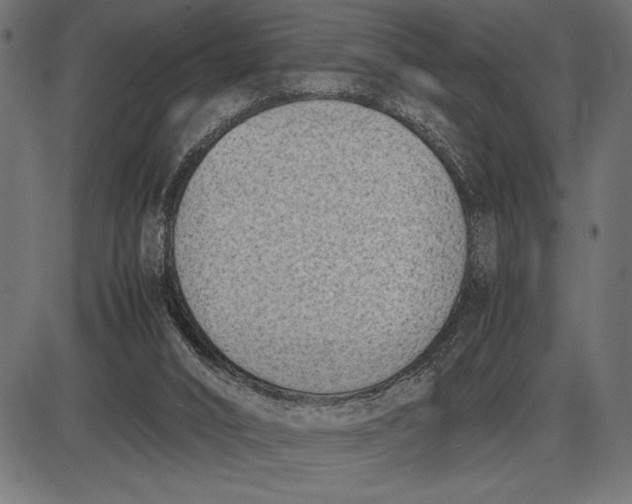 X0000086110016200704091430