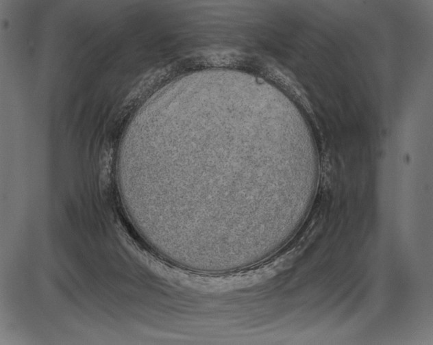 X0000086110018200704091430