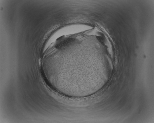 X0000086110019200704091430