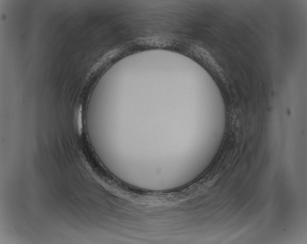 X0000086110020200704091430