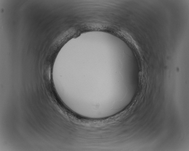 X0000086110021200704091430