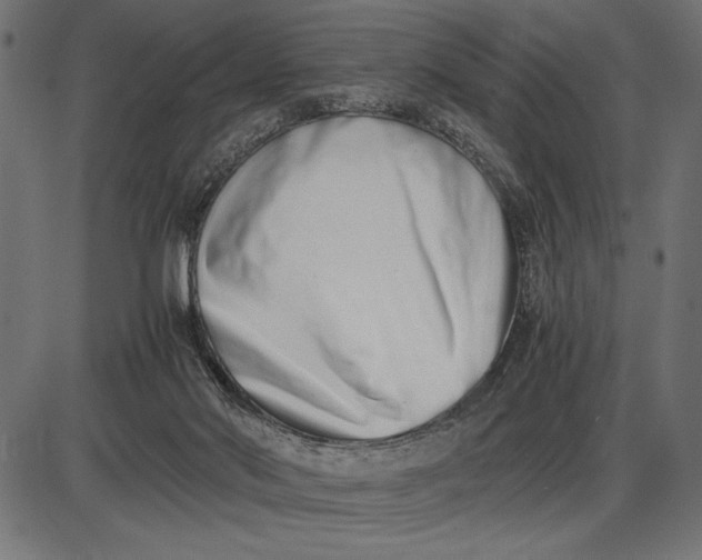 X0000086110022200704091430