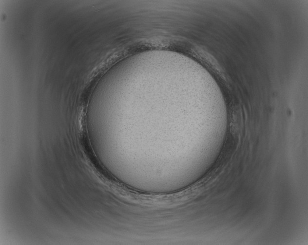 X0000086110023200704091430