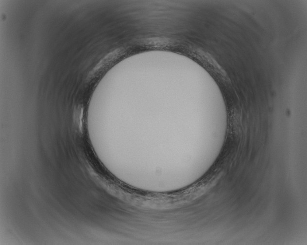 X0000086110024200704091430