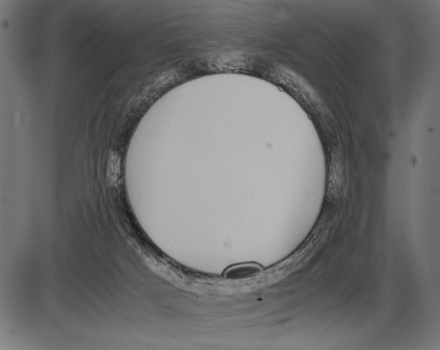 X0000086110025200704091430