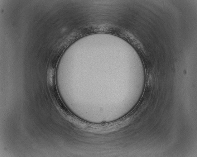 X0000086110026200704091430