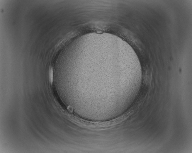 X0000086110027200704091430