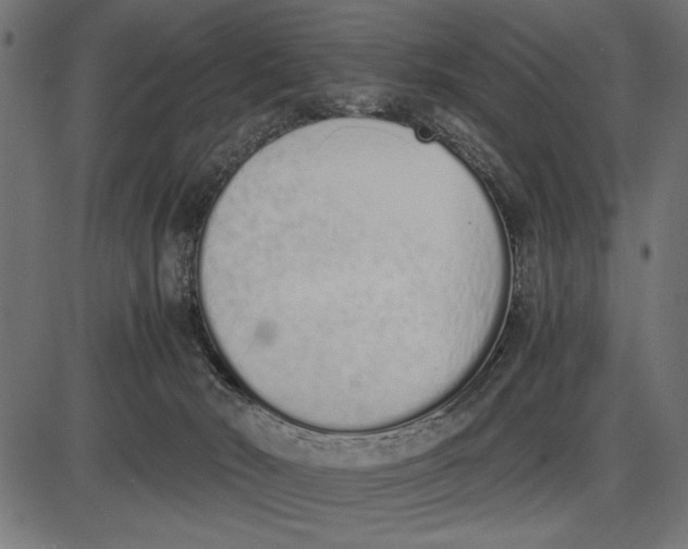 X0000086110030200704091430