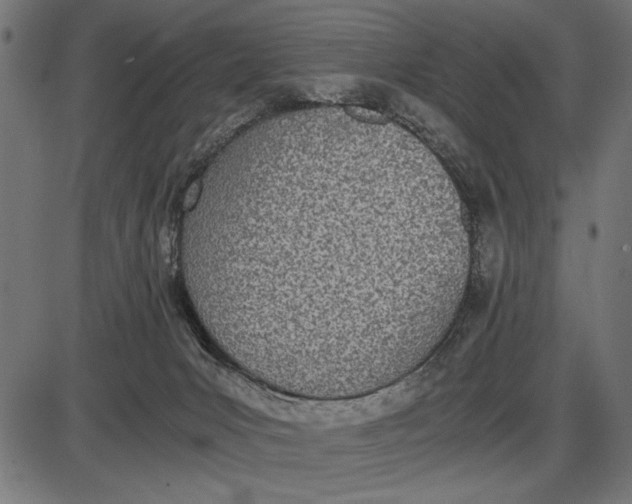 X0000086110031200704091430