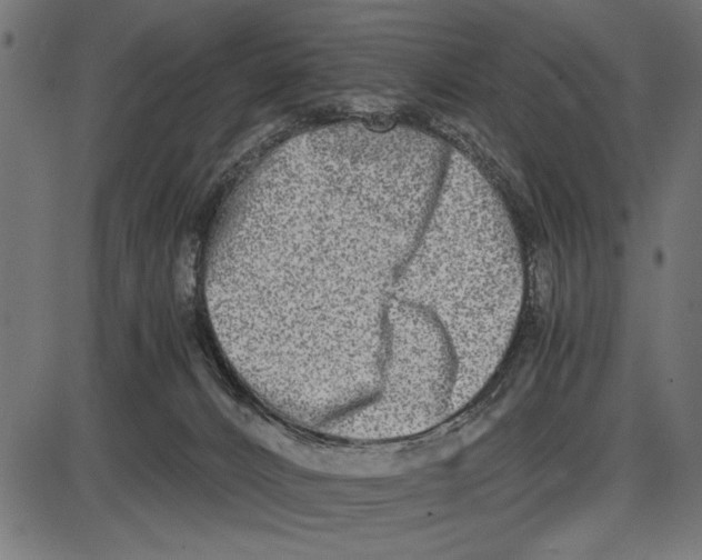 X0000086110032200704091430