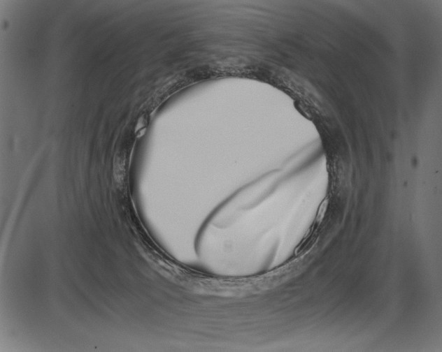 X0000086110033200704091430