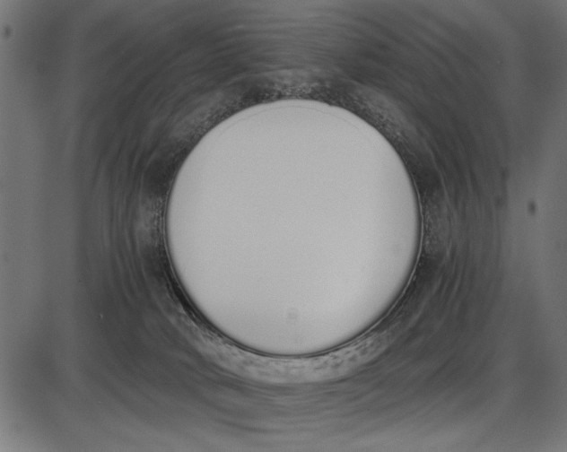 X0000086110034200704091430