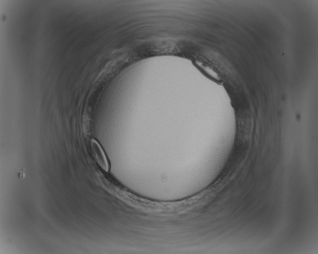 X0000086110035200704091430