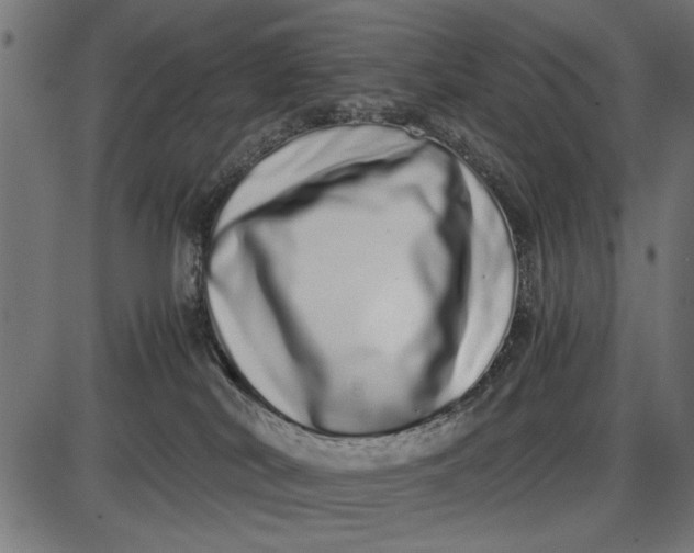 X0000086110038200704091430