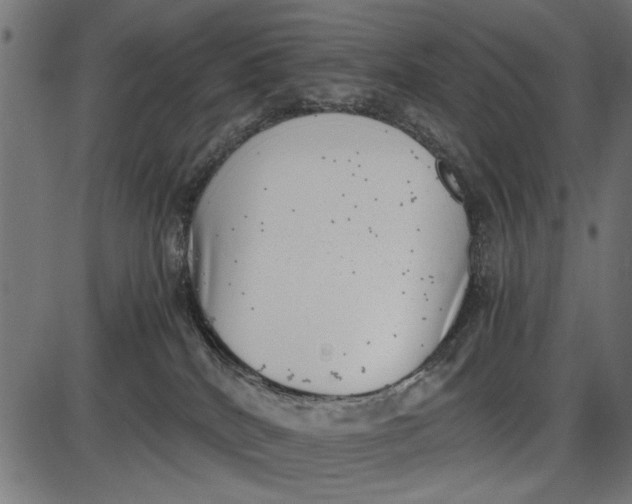 X0000086110040200704091430