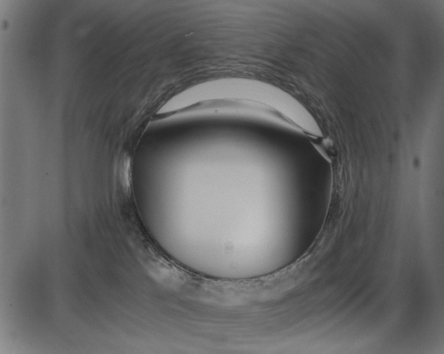 X0000086110041200704091430