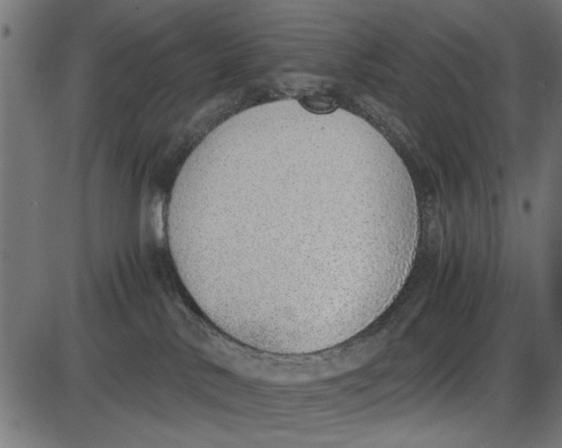 X0000086110042200704091430