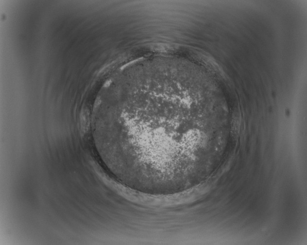 X0000086110043200704091430