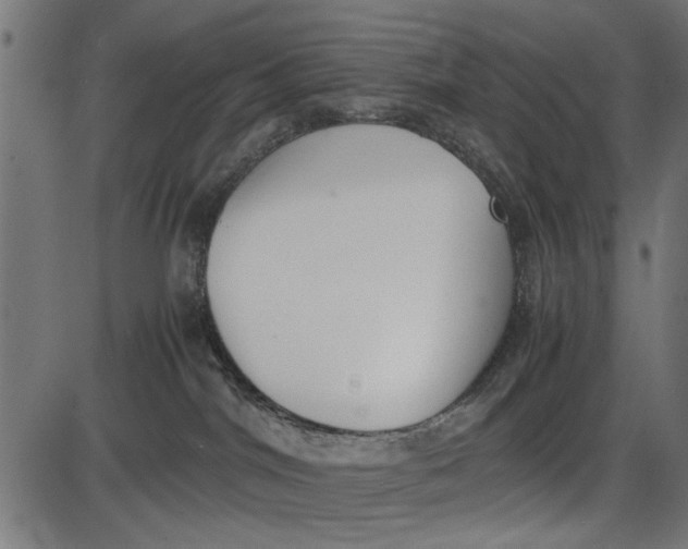 X0000086110044200704091430