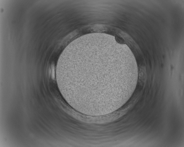 X0000086110046200704091429