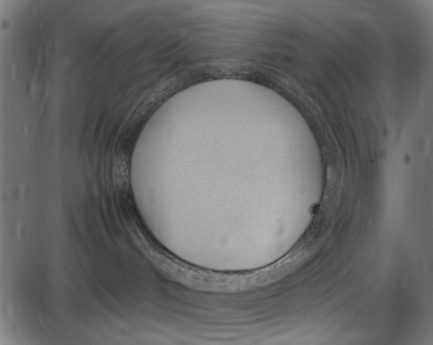 X0000086110048200704091429