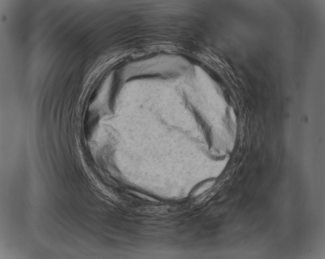 X0000086110049200704091429