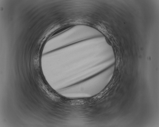 X0000086110050200704091429