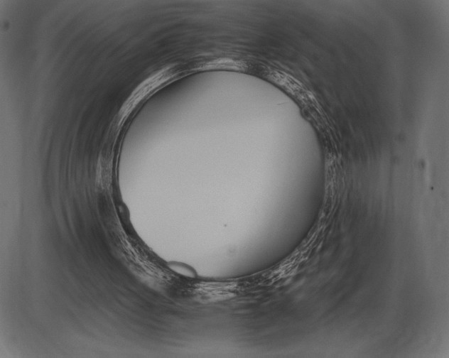 X0000086110051200704091429