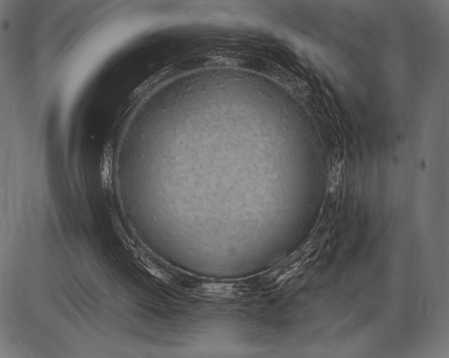 X0000086110052200704091429