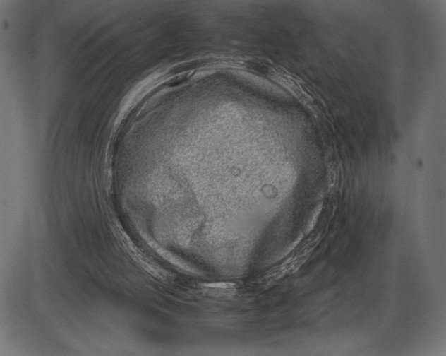 X0000086110053200704091429