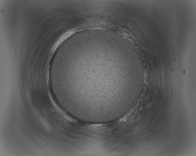 X0000086110054200704091429