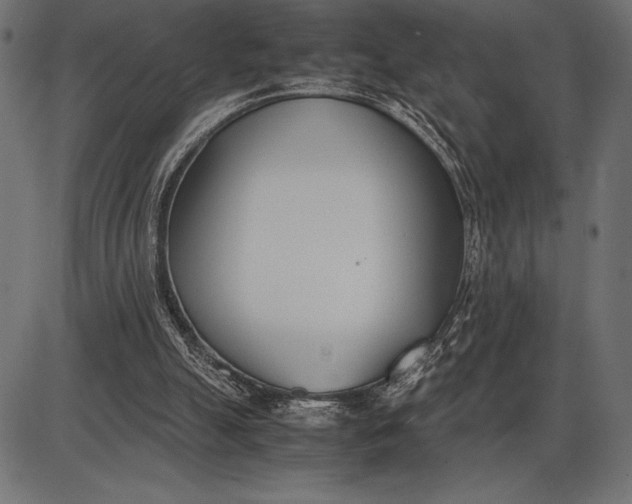 X0000086110055200704091429