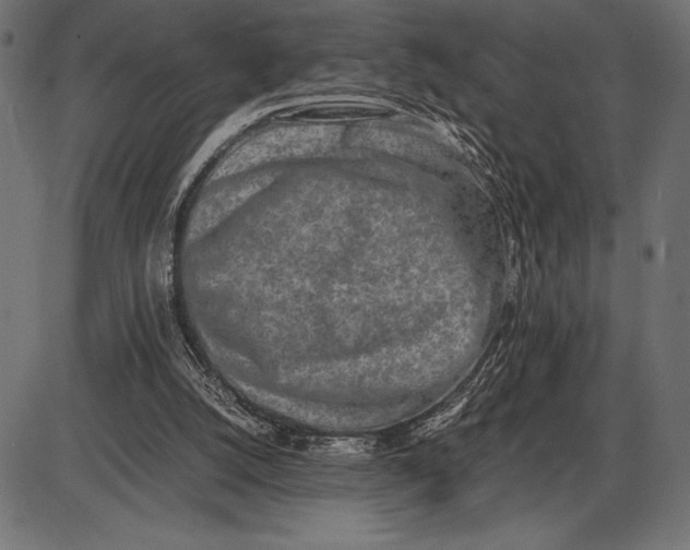 X0000086110056200704091429