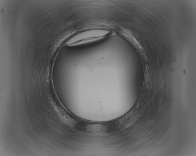 X0000086110058200704091429