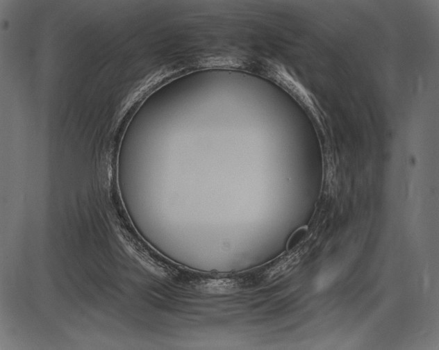 X0000086110059200704091429