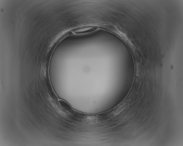 X0000086110060200704091429