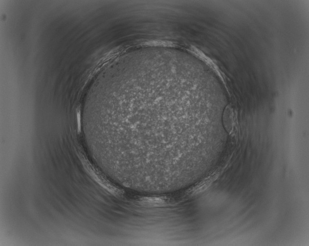 X0000086110061200704091429