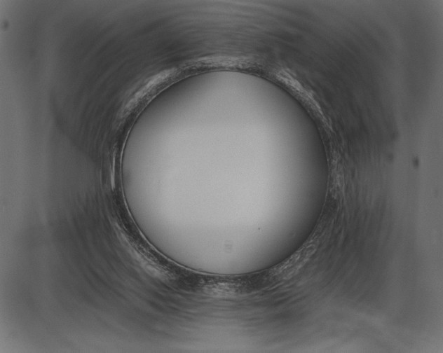 X0000086110062200704091429