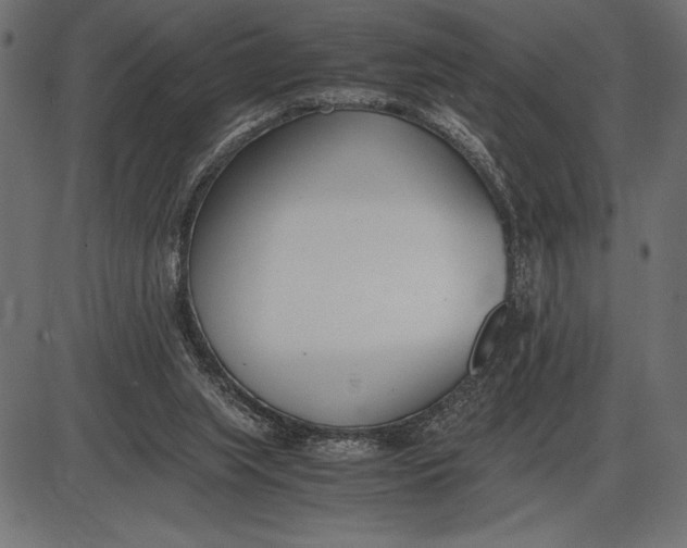 X0000086110063200704091429