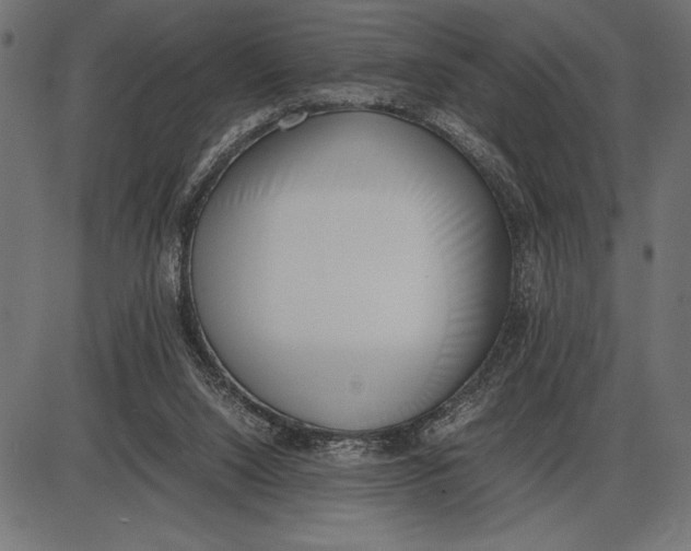 X0000086110064200704091429