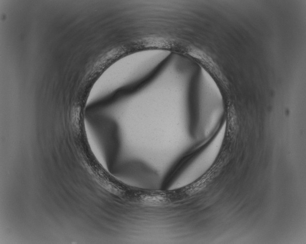 X0000086110066200704091429