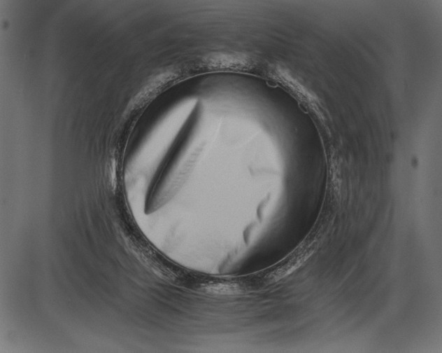 X0000086110067200704091429