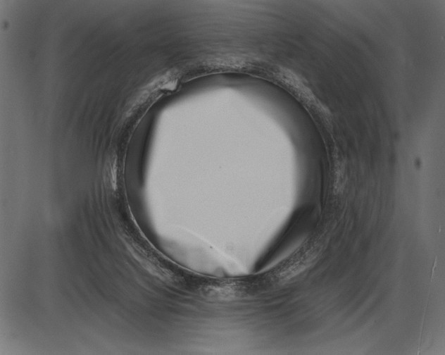 X0000086110068200704091429