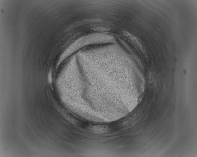 X0000086110069200704091429