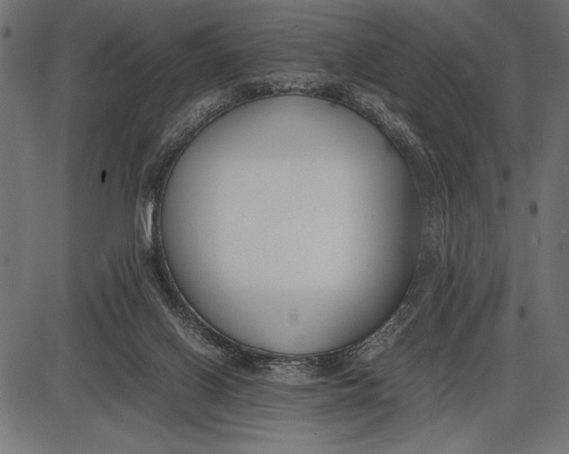 X0000086110070200704091429