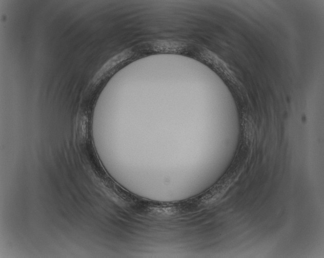 X0000086110071200704091429