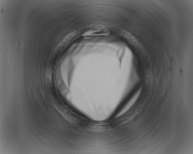 X0000086110072200704091429