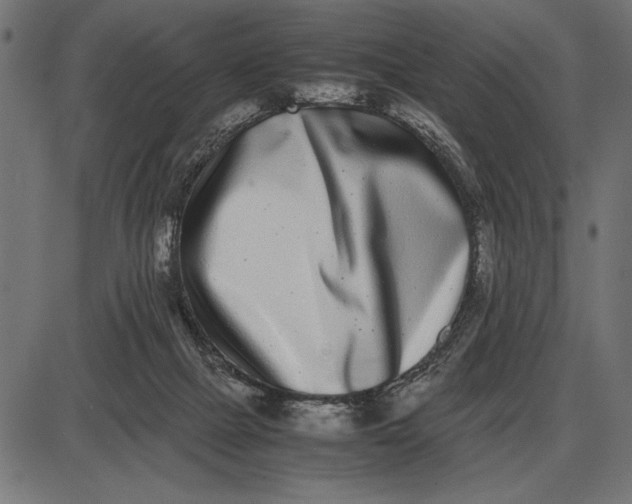 X0000086110073200704091429